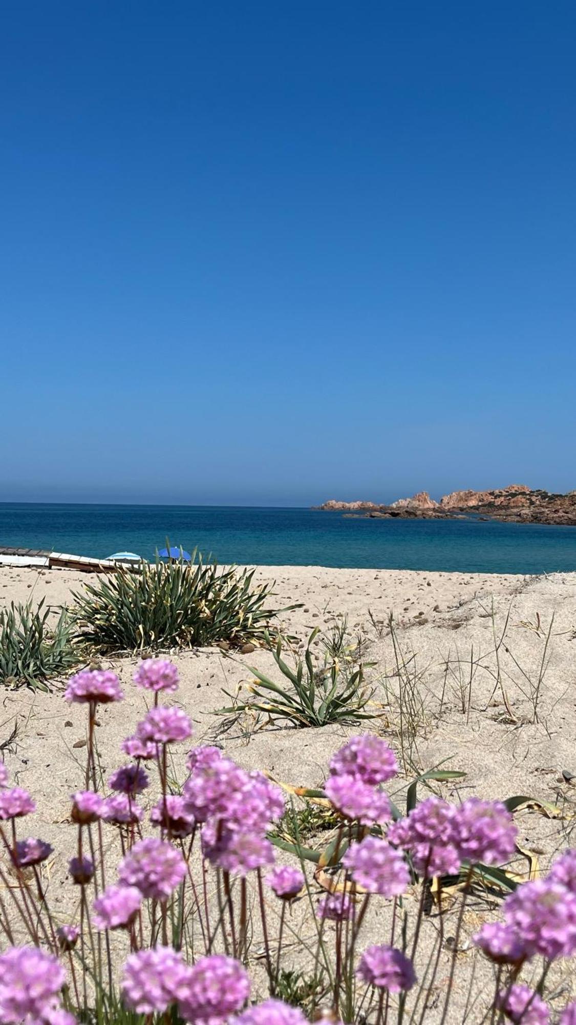 Isola Rossa Appartamenti Paduledda Kültér fotó